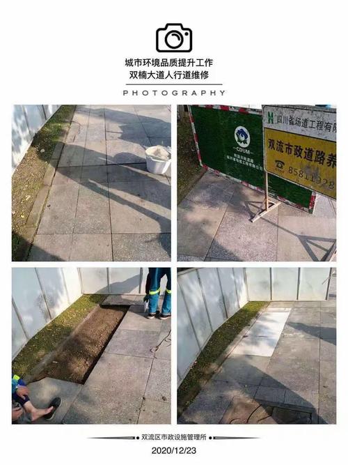 双流区城管局2020年12月23日市政设施维修管理工作小结